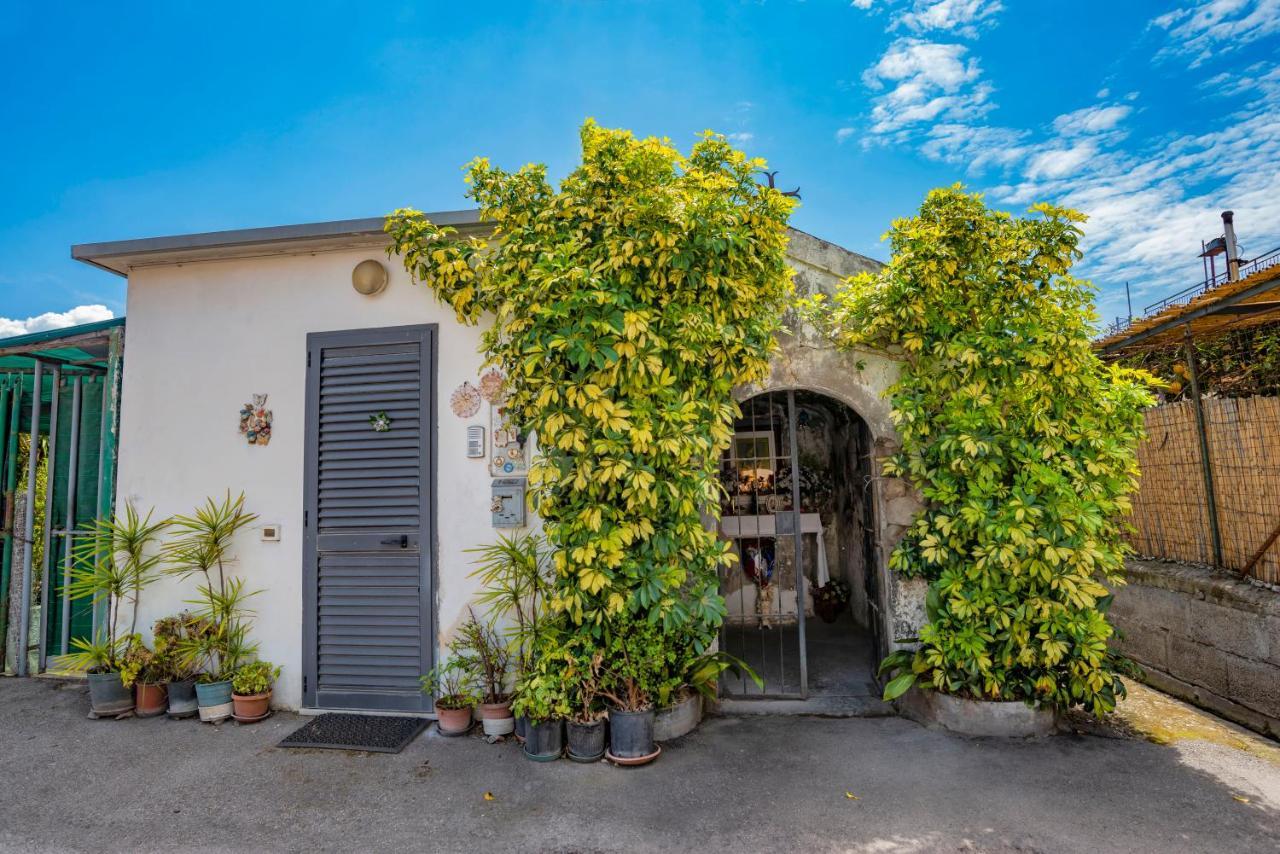 Nives Bed & Breakfast Pompei Exterior foto
